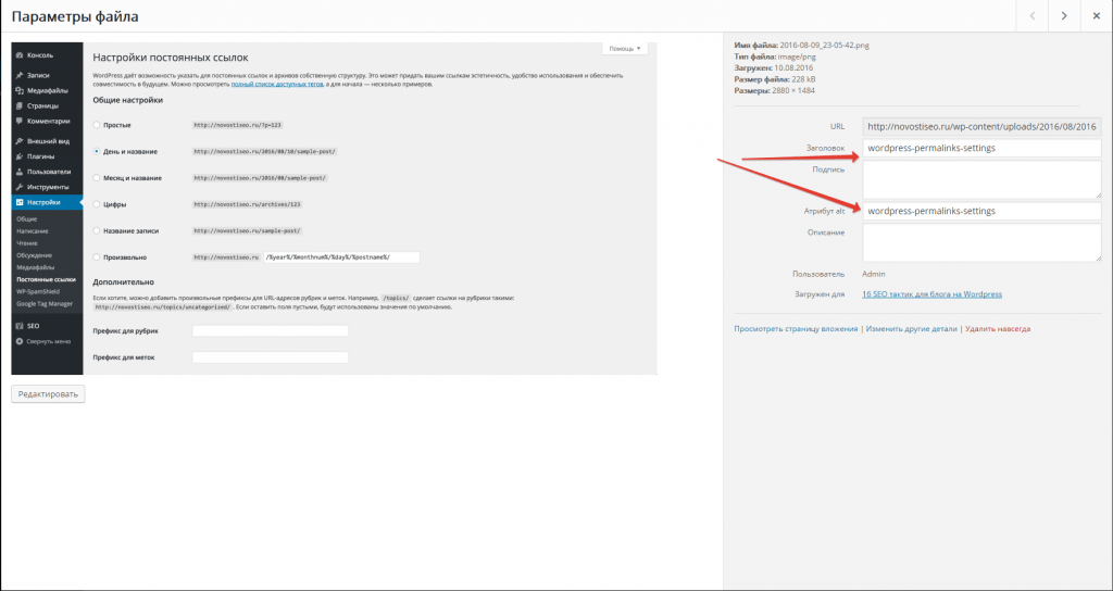 Продвижение сайта на wordpress